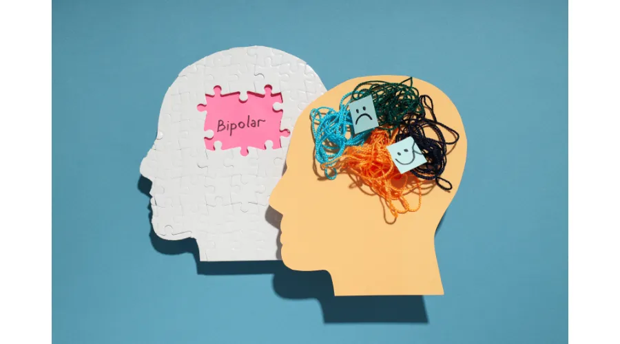 Bipolar Bozukluk